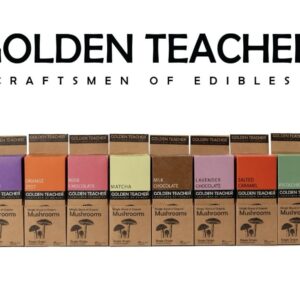 Golden Teacher Chocolate from Belgium
